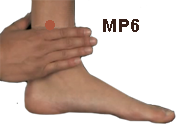 MP6