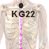 KG22