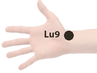 Lu9