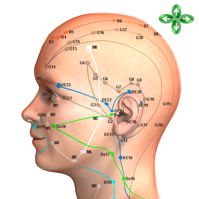 Akupunktur Kopf vorn